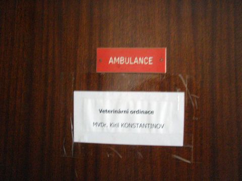 Foto 39